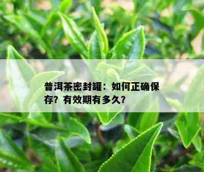 普洱茶密封罐：怎样正保证存？有效期有多久？