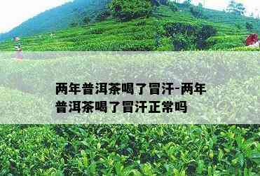 两年普洱茶喝了冒汗-两年普洱茶喝了冒汗正常吗