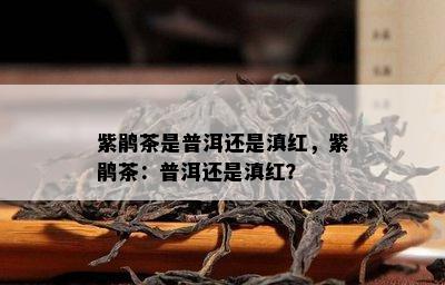 紫鹃茶是普洱还是滇红，紫鹃茶：普洱还是滇红？