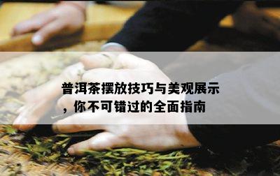 普洱茶摆放技巧与美观展示，你不可错过的全面指南