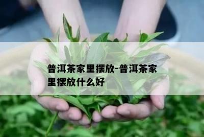 普洱茶家里摆放-普洱茶家里摆放什么好