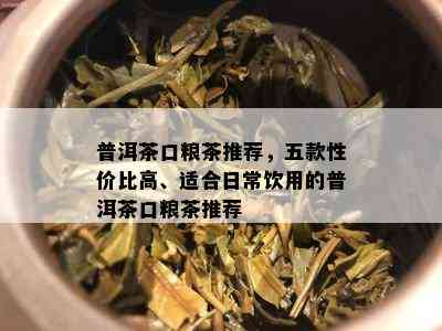 普洱茶口粮茶推荐，五款性价比高、适合日常饮用的普洱茶口粮茶推荐