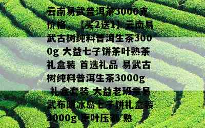 云南易武普洱茶3000克价格，【买2送1】云南易武古树纯料普洱生茶3000g 大益七子饼茶叶熟茶礼盒装 首选礼品 易武古树纯料普洱生茶3000g 礼盒套装 大益老班章易武布朗冰岛七子饼礼盒装 3000g 原叶压制 熟茶