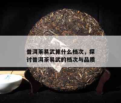 普洱茶易武算什么档次，探讨普洱茶易武的档次与品质