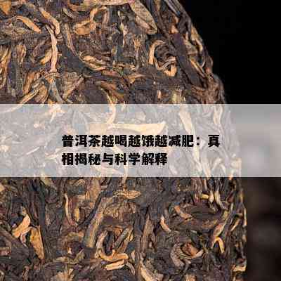 普洱茶越喝越饿越减肥：真相揭秘与科学解释