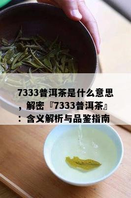 7333普洱茶是什么意思，解密『7333普洱茶』：含义解析与品鉴指南