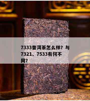 7333普洱茶怎么样？与7321、7533有何不同？