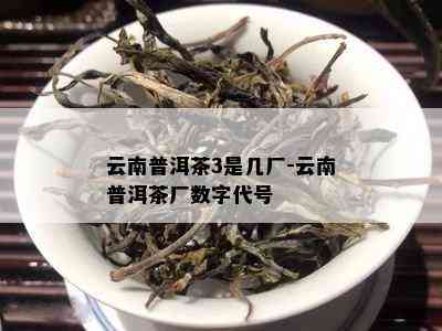 云南普洱茶3是几厂-云南普洱茶厂数字代号