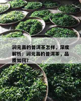 润元昌的普洱茶怎样，深度解析：润元昌的普洱茶，品质如何？