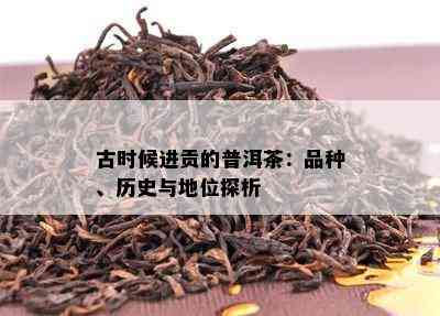 古时候进贡的普洱茶：品种、历史与地位探析