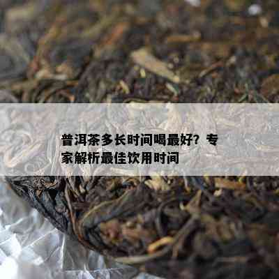 普洱茶多长时间喝更好？专家解析更佳饮用时间