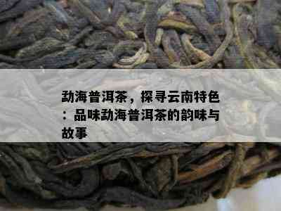 勐海普洱茶，探寻云南特色：品味勐海普洱茶的韵味与故事