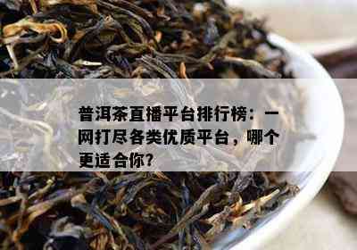 普洱茶直播平台排行榜：一网打尽各类优质平台，哪个更适合你？