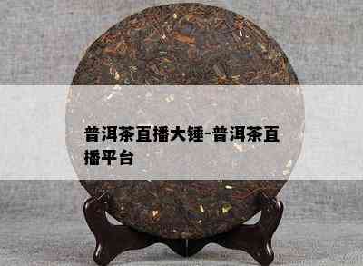 普洱茶直播大锤-普洱茶直播平台