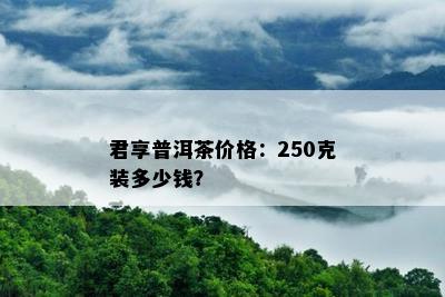 君享普洱茶价格：250克装多少钱？