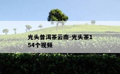 光头普洱茶云南-光头茶154个视频