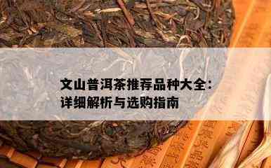 文山普洱茶推荐品种大全：详细解析与选购指南