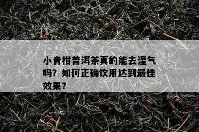 小青柑普洱茶真的能去湿气吗？如何正确饮用达到更佳效果？