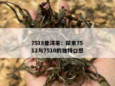 7518普洱茶：探索7512与7510的特别口感