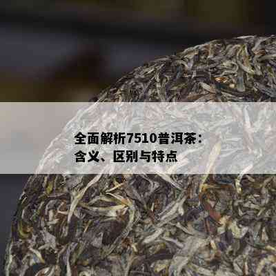 全面解析7510普洱茶：含义、区别与特点