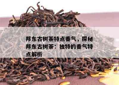 邦东古树茶特点香气，探秘邦东古树茶：特别的香气特点解析