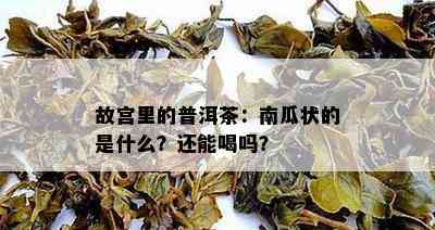 故宫里的普洱茶：南瓜状的是什么？还能喝吗？