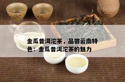 金瓜普洱沱茶，品尝云南特色：金瓜普洱沱茶的魅力