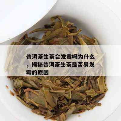 普洱茶生茶会发霉吗为什么，揭秘普洱茶生茶是不是易发霉的起因