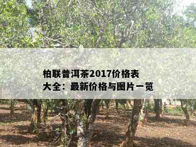 柏联普洱茶2017价格表大全：最新价格与图片一览