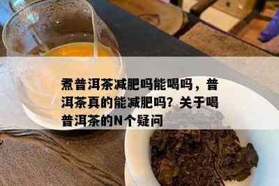 煮普洱茶减肥吗能喝吗，普洱茶真的能减肥吗？关于喝普洱茶的N个疑问