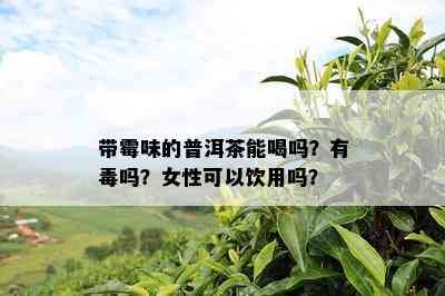 带霉味的普洱茶能喝吗？有吗？女性可以饮用吗？