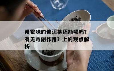 带霉味的普洱茶还能喝吗？有无副作用？上的观点解析