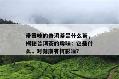 带霉味的普洱茶是什么茶，揭秘普洱茶的霉味：它是什么，对健康有何作用？