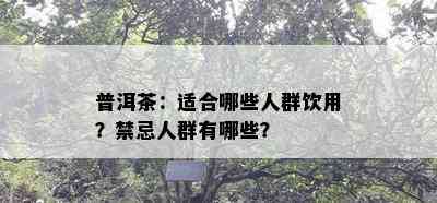 普洱茶：适合哪些人群饮用？禁忌人群有哪些？