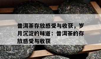 普洱茶存放感受与收获，岁月沉淀的味道：普洱茶的存放感受与收获