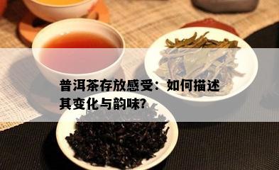 普洱茶存放感受：怎样描述其变化与韵味？