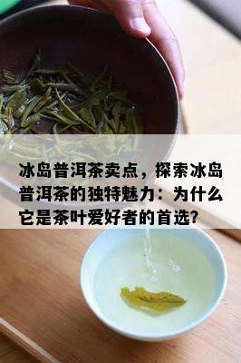 冰岛普洱茶卖点，探索冰岛普洱茶的独特魅力：为什么它是茶叶爱好者的首选？