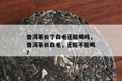 普洱茶长了白毛还能喝吗，普洱茶长白毛，还能不能喝？