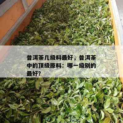 普洱茶几级料更好，普洱茶中的顶级原料：哪一级别的更好？