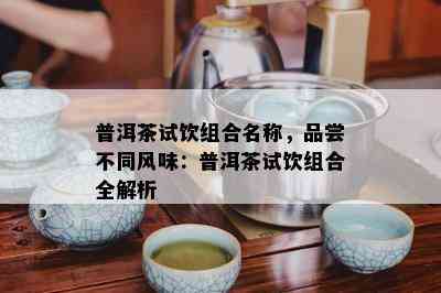 普洱茶试饮组合名称，品尝不同风味：普洱茶试饮组合全解析