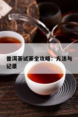 普洱茶试茶全攻略：方法与记录