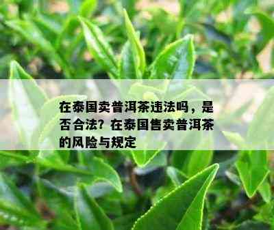 在泰国卖普洱茶违法吗，是不是合法？在泰国售卖普洱茶的风险与规定