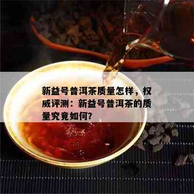 新益号普洱茶品质怎样，权威评测：新益号普洱茶的品质究竟怎样？