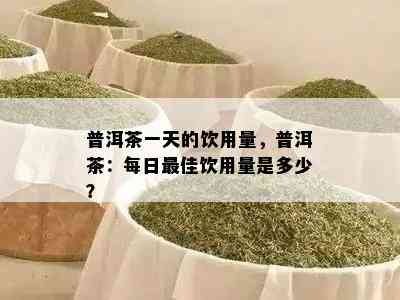 普洱茶一天的饮用量，普洱茶：每日更佳饮用量是多少？