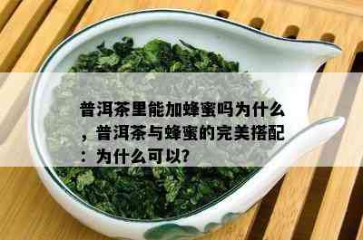 普洱茶里能加蜂蜜吗为什么，普洱茶与蜂蜜的完美搭配：为什么可以？