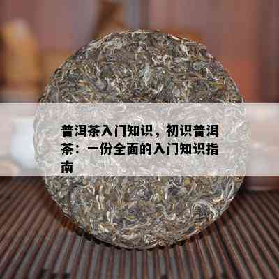 普洱茶入门知识，初识普洱茶：一份全面的入门知识指南