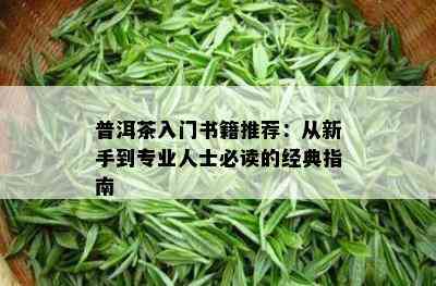 普洱茶入门书籍推荐：从新手到专业人士必读的经典指南