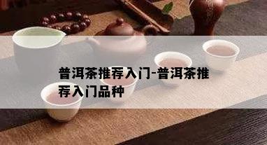 普洱茶推荐入门-普洱茶推荐入门品种