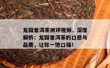 龙园普洱茶测评视频，深度解析：龙园普洱茶的口感与品质，让你一饱口福！