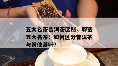 五大名茶普洱茶区别，解密五大名茶：怎样区分普洱茶与其他茶叶？